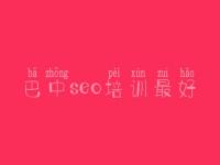 巴中seo培训最好 排名优化公司