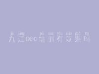 九江seo培训有效果吗_企业seo优化公司