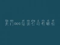 天门seo培训公司有哪些 高端网站建设哪家好