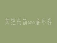 湛江培训seo哪个好，网站建设需要什么