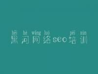 黑河网络seo培训 供应链优化