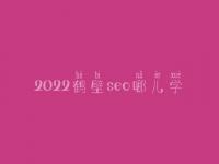 2022鹤壁seo哪儿学_培训班_联系电话