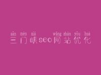 三门峡seo网站优化，零基础学seo要多久