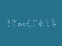 辽宁seo培训哪儿好_宁夏网站建设