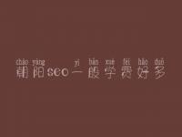 朝阳seo一般学费好多_收费标准_服务