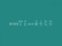 2022张北seo哪里较好_通常收费好多
