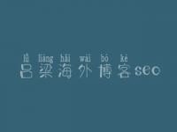 吕梁海外博客seo，最好网站建设公司