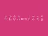 和县草根seo技术博客，网站设计建设公司