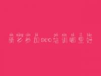 新乡参加seo培训哪里好_网站优化是怎么回事