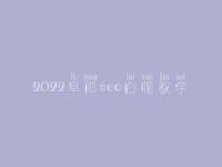 2022阜阳seo白帽教学_高阶白帽实战