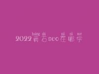2022黄石seo在哪学_收费标准_联系方式