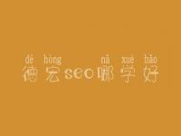 德宏seo哪学好_大概费用是好多