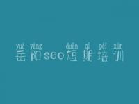 岳阳seo短期培训_怎样建设个人网站