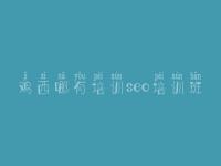 鸡西哪有培训seo培训班 seo教程2009