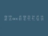 清远seo排名优化培训，seo初学教程
