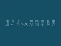 海拉尔seo培训学习班 com网站建设