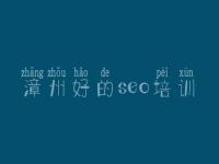 漳州好的seo培训_网站自动优化