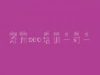 沧州seo培训一对一 网站建设好的公司