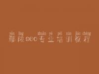 鄢陵seo专业培训教程，seo教程哪家好