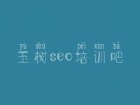 玉树seo培训吧，网站优化注意