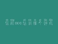 信阳seo培训那个好点_公司网站建设计划