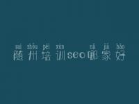 随州培训seo哪家好 seo入门教程下载