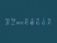 湛江seo有哪些技术 手机官网建设