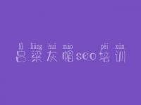 吕梁灰帽seo培训_搜索引擎优化是什么