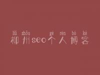 柳州seo个人博客_网站优化案例