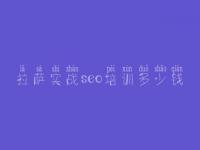 拉萨实战seo培训多少钱 相城区网站建设