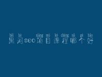 黑河seo项目课程哪个好_seo学完好找工作吗