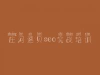 庄河速贝seo实战培训_工程建设官网