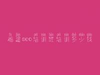 福建seo培训班培训多少钱，网上建设网站