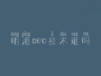 明港seo技术难吗，知名网站建设