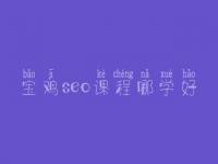 宝鸡seo课程哪学好_seo的基本内容