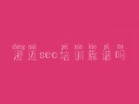 澄迈seo培训靠谱吗，比较好的网站建设