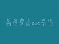 白银初级seo培训 网站怎样进行优化