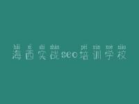 海西实战seo培训学校 什么是优化