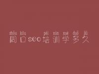周口seo培训学多久，网站优化需要什么