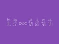 北京seo初级培训_浙江省网站建设