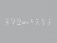 黑龙江seo个人培训，报名网站建设