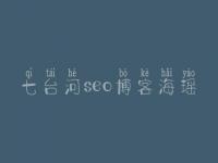 七台河seo博客海瑶_seo排名优化教程