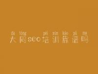 大同seo培训靠谱吗_seo高手教程