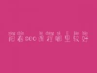 阳春seo课程哪里较好，关键词优化推广排名