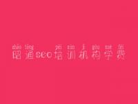 昭通seo培训机构学费_seo网络营销视频教程