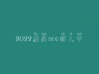 2022湖南seo哪儿学_培训班_联系方式