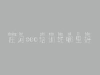 庄河seo培训班哪里好_全国网站建设