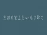 沈阳最专业的seo培训中心 seo教程免费