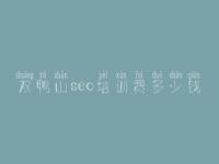 双鸭山seo培训费多少钱 网络优化怎么样