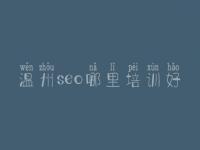 温州seo哪里培训好，海外seo优化外包公司
